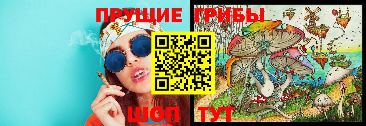 Псилоцибиновые грибы мицелий Воскресенск